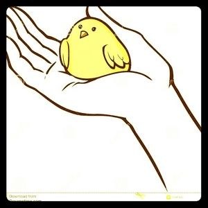 A Bird in the Hand is worth Two in the Bush